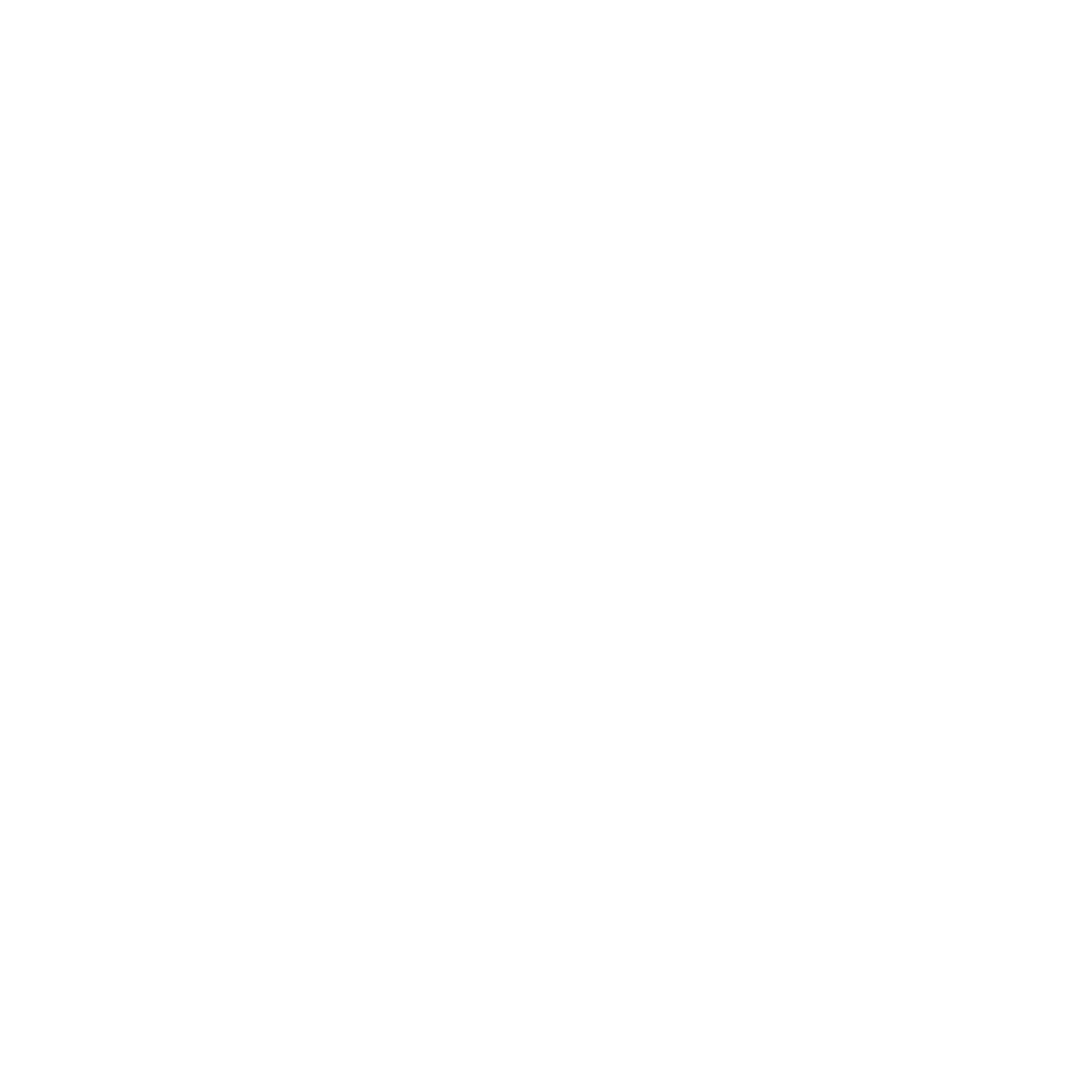 Trivellato logo